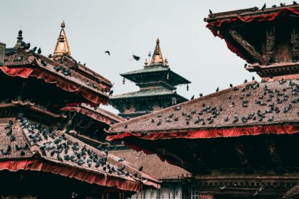 red and brown temple roofs